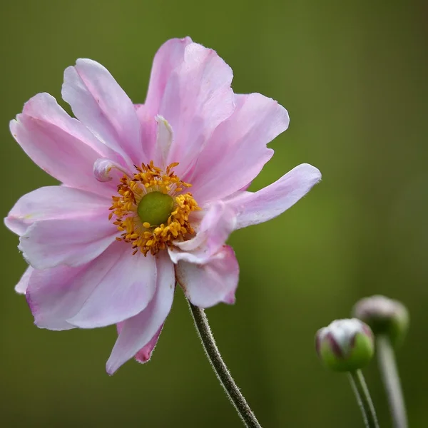 赌博软件棋牌游戏